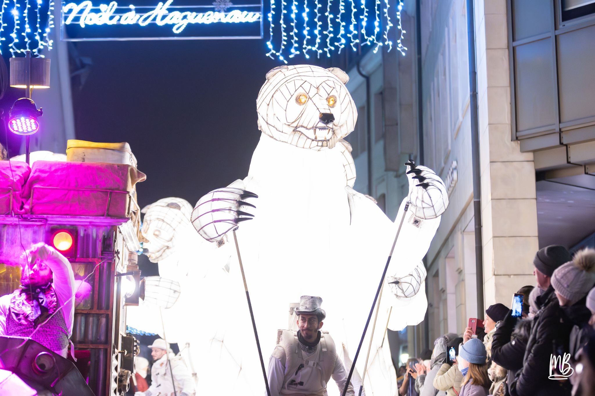 MB2024 CIE REMUE MENAGE(Gueule d'ours) (20 sur 107)